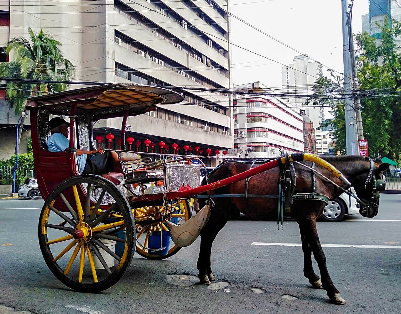 Traditional calesa horse carriage